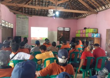 Belajar dari APPOLI, Konco Tani Purwomartani Dalami Pertanian Organik Berkelanjutan