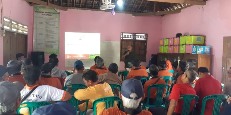 Belajar dari APPOLI, Konco Tani Purwomartani Dalami Pertanian Organik Berkelanjutan