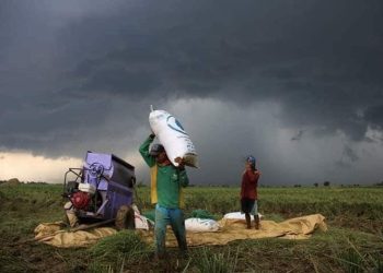 Membangun Kedaulatan Pangan Berbasis Komunitas