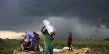 Membangun Kedaulatan Pangan Berbasis Komunitas