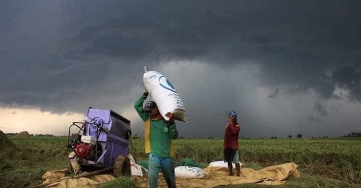 Membangun Kedaulatan Pangan Berbasis Komunitas